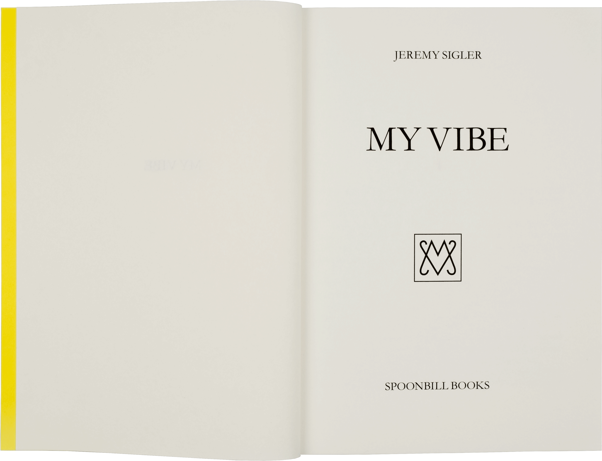 Title page of My Vibe book